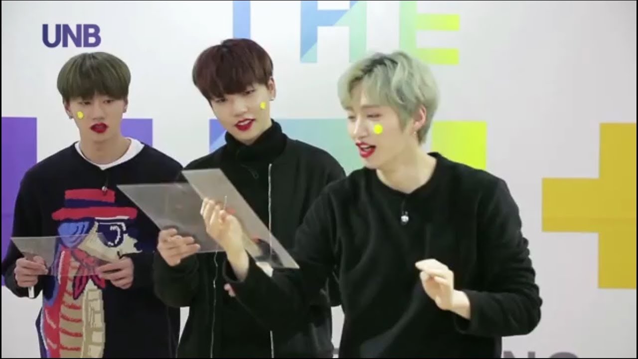 UNB - THANKS TO FANMEETING VCR - Reality (The Unit)