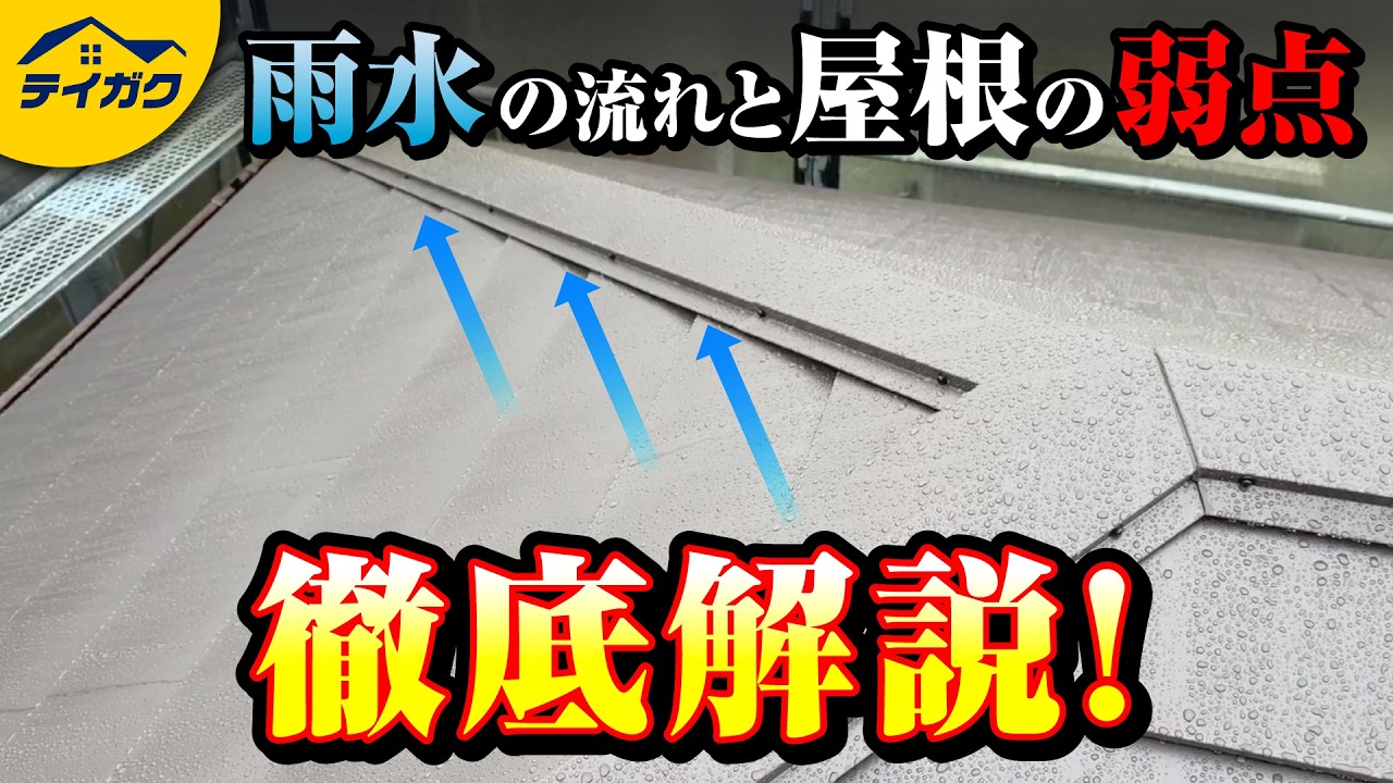 【屋根の役割】屋根に雨の日にのぼって雨水の流れ撮影して解説
