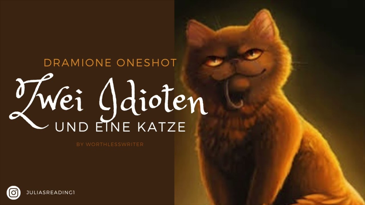 Dramione Oneshot | Zwei Idioten und eine Katze | 1300 Abo Special | Harry Potter Fanfiction Hörbuch