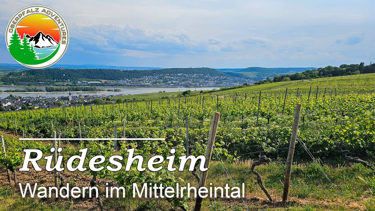 Kurze und einfache Wanderung zu den Highlights um Rüdesheim
