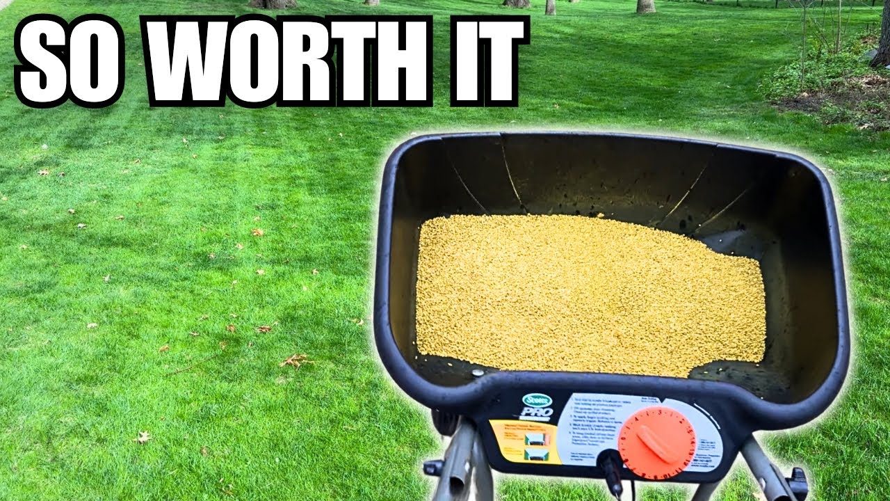 Beat WEEDS All Summer with a KILLER Pre-Emergent Schedule