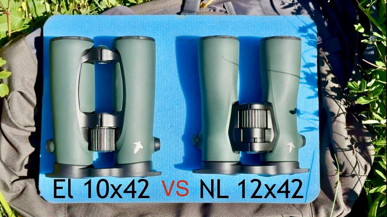 Сравните биноклей Svarowski EL 10x42  и  NL 12 x42
