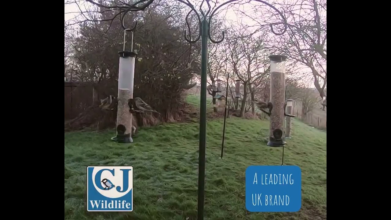 CJ Wildlife Vs Leading UK Competitor, who will win?