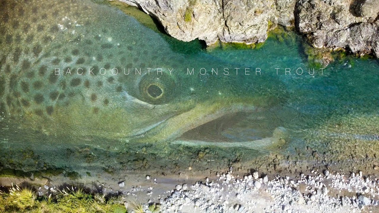 Backcountry Monster Trout 2 (Новая Зеландия, эпизод 15)