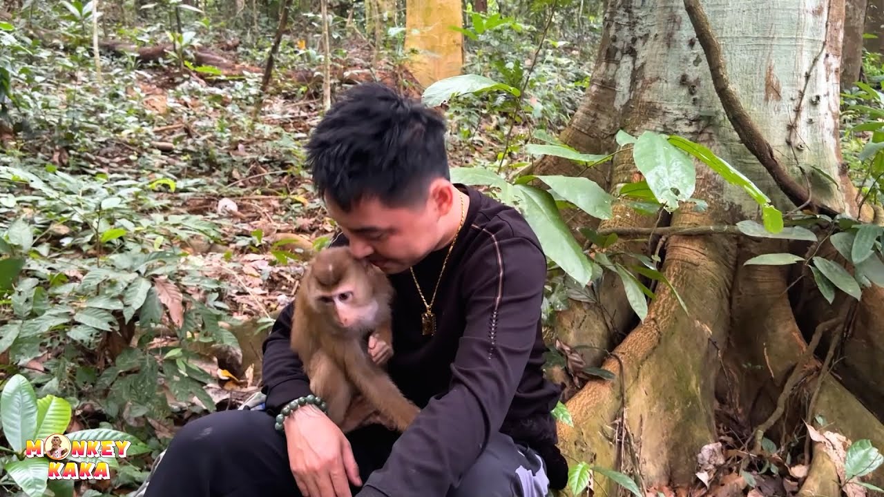 Dad cried when he met Kaka Monkey again after many days apart