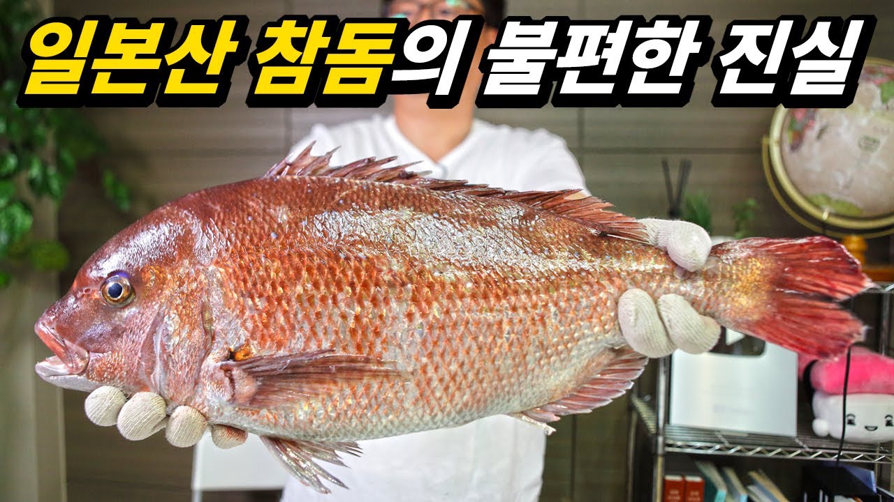우리가 먹은 도미회 알고보니 일본산? 이대로 괜찮은걸까?