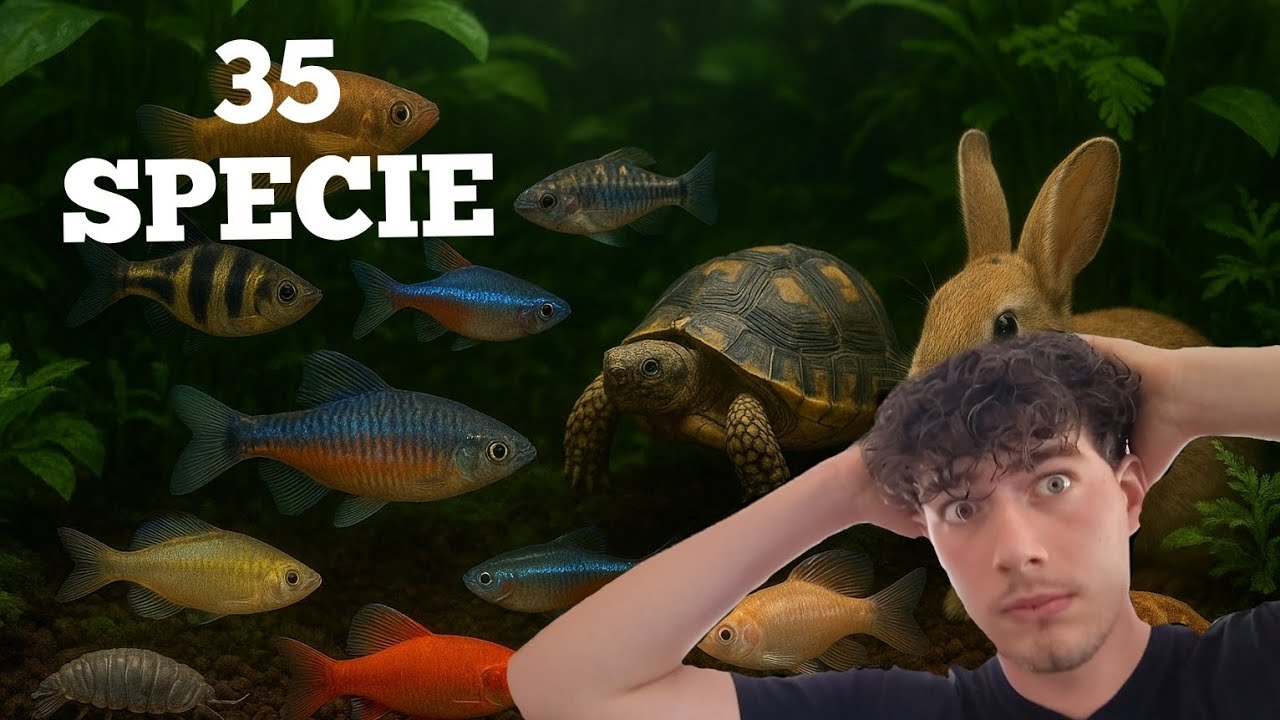 35 SPECIE in UN solo VIDEO - presentazione canale / HydroJungle