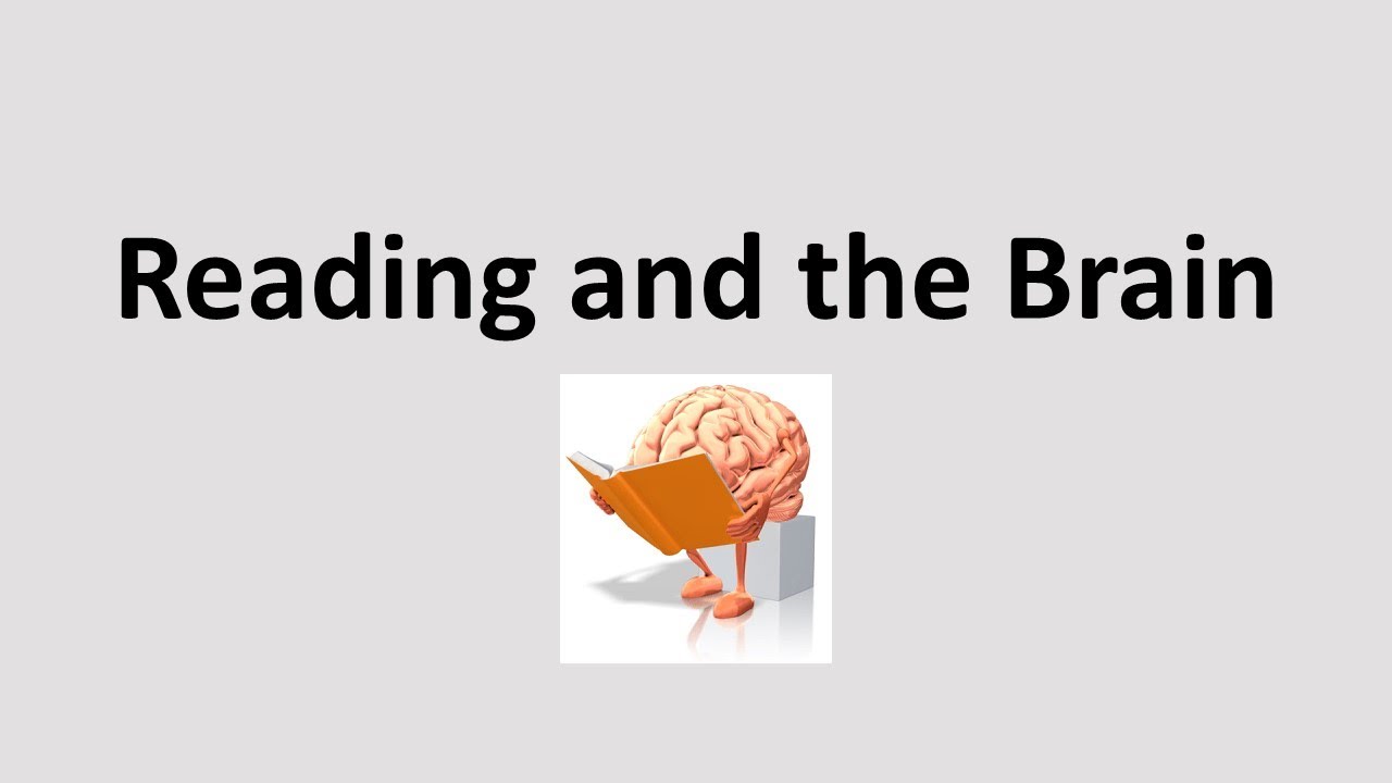 READING AND THE BRAIN: THE 3 CUEING SYSTEMS