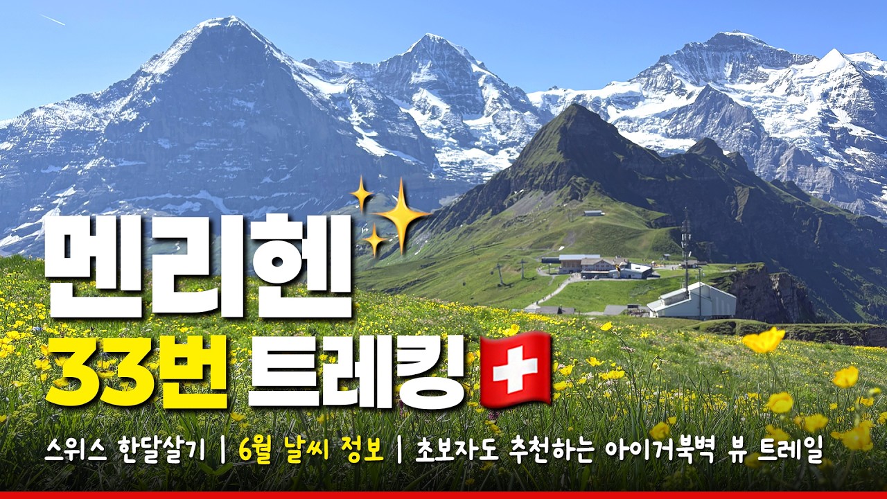 6월의 스위스, 융프라우 3대봉을 눈앞에 두고 걷는 파노라마 트레일 | 멘리헨 | 스위스 트레킹 33번 코스 | 걷기 쉬워요~