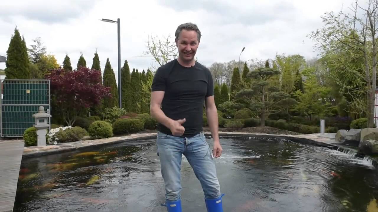 Modern Koi Blog #155 - Verrücktes Showa Schwarz