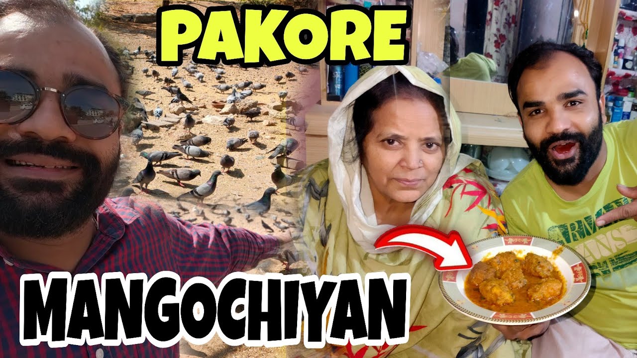 Begum r Ammi be mil kr Banai Mangochiya mom dal ki / pakore | Shah Nawaz Vlog l