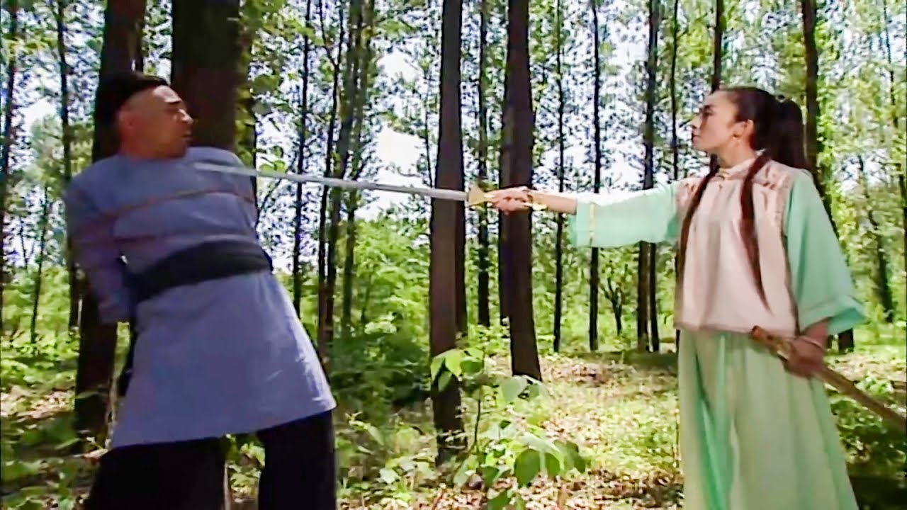 土匪搶劫皇上，卻不知皇上身邊女俠劍法驚人，這下慘了！