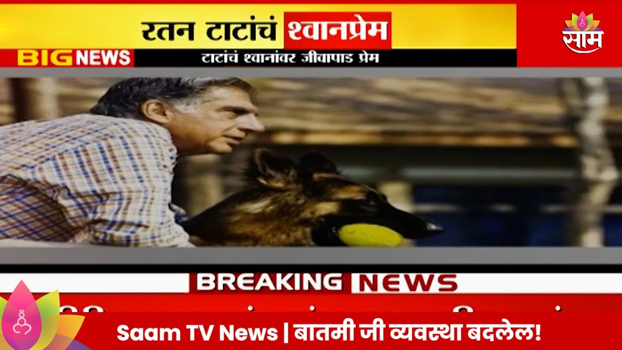 Ratan Tata Dog Love News: रतन टाटांच्या श्वान प्रेमाचा अजब किस्सा | Marathi News