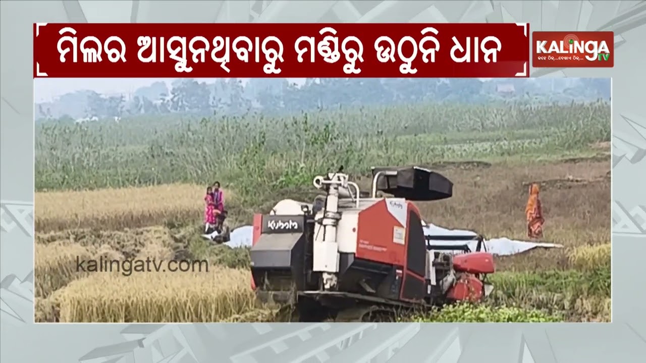 Farmers Protest Over Paddy Procurement Delay In Banki | Kalinga TV