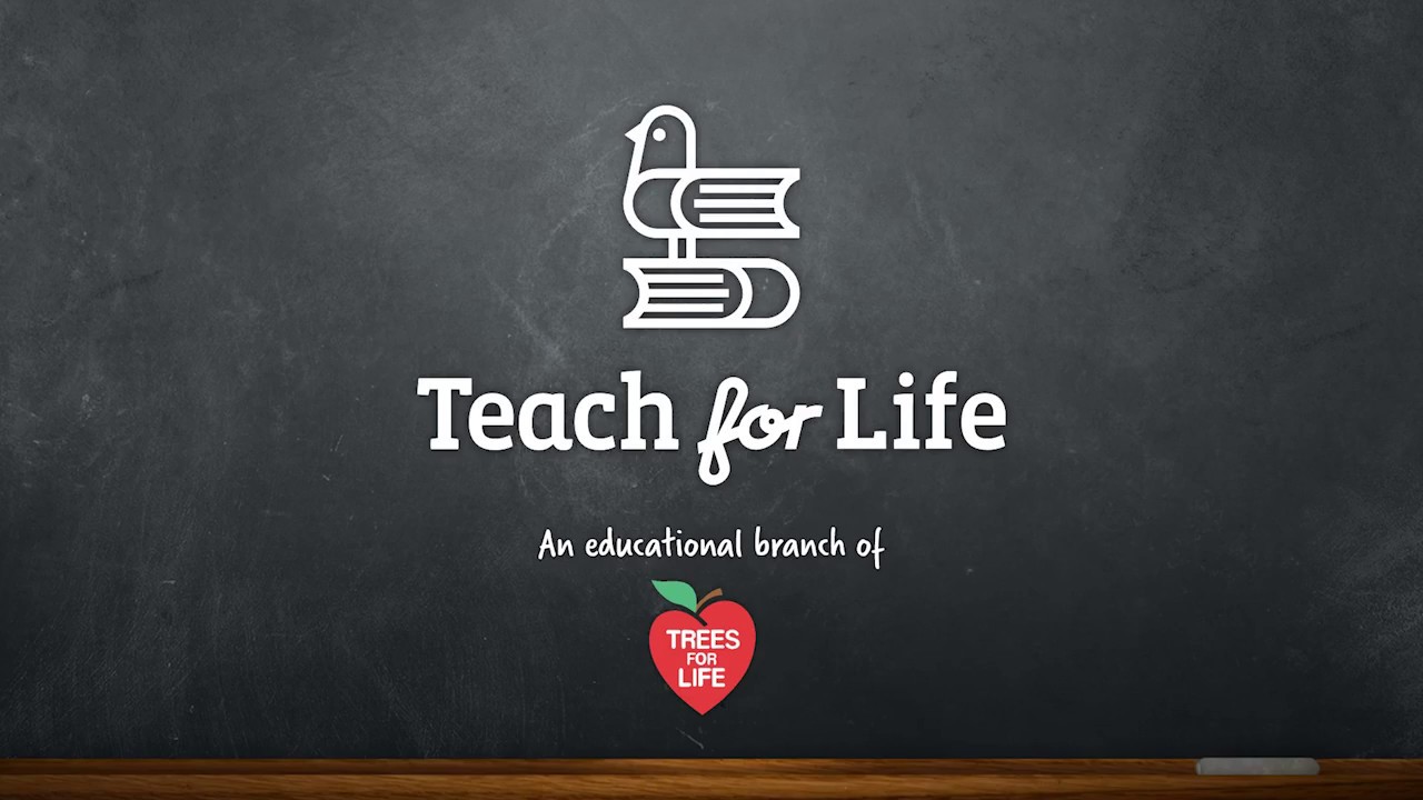 How to make a powerful Teach for Life video