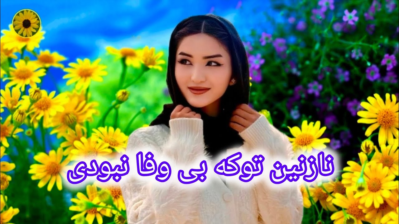 نازنین توکه بی وفا نبودی دوستان عزیز لطفا حمایت کنید 