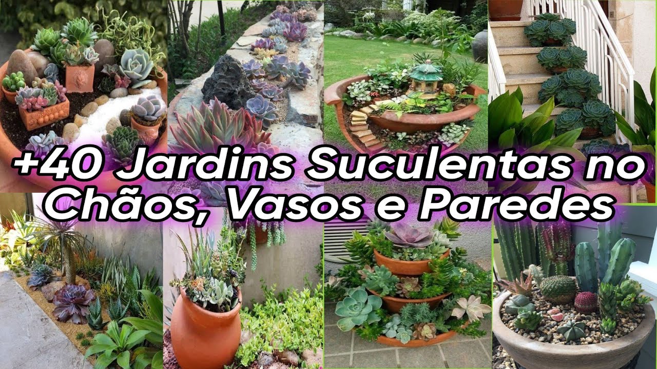 +40 Ideias Como decorar sua Casa com Suculentas