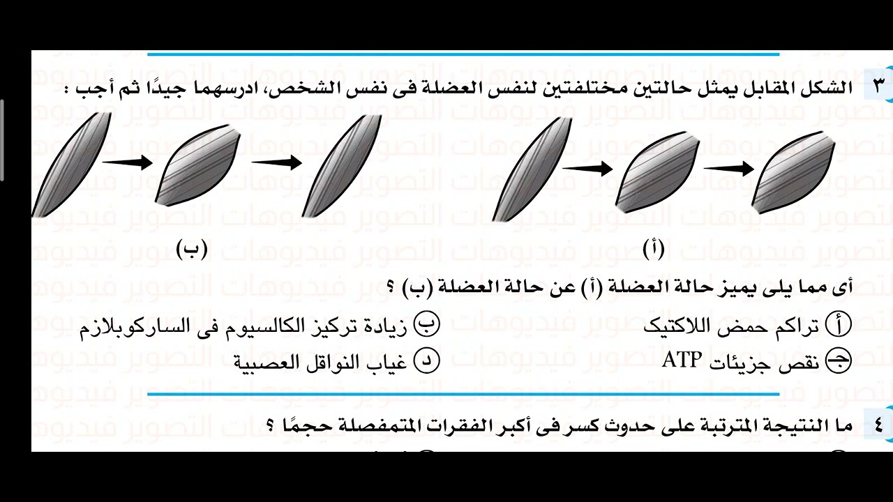 1- حل كراسة التفوق في الأحياء 2024 امتحان الدعامة و الحركة و الهرمونات الأستاذ / محمد الرفاعى ذكى