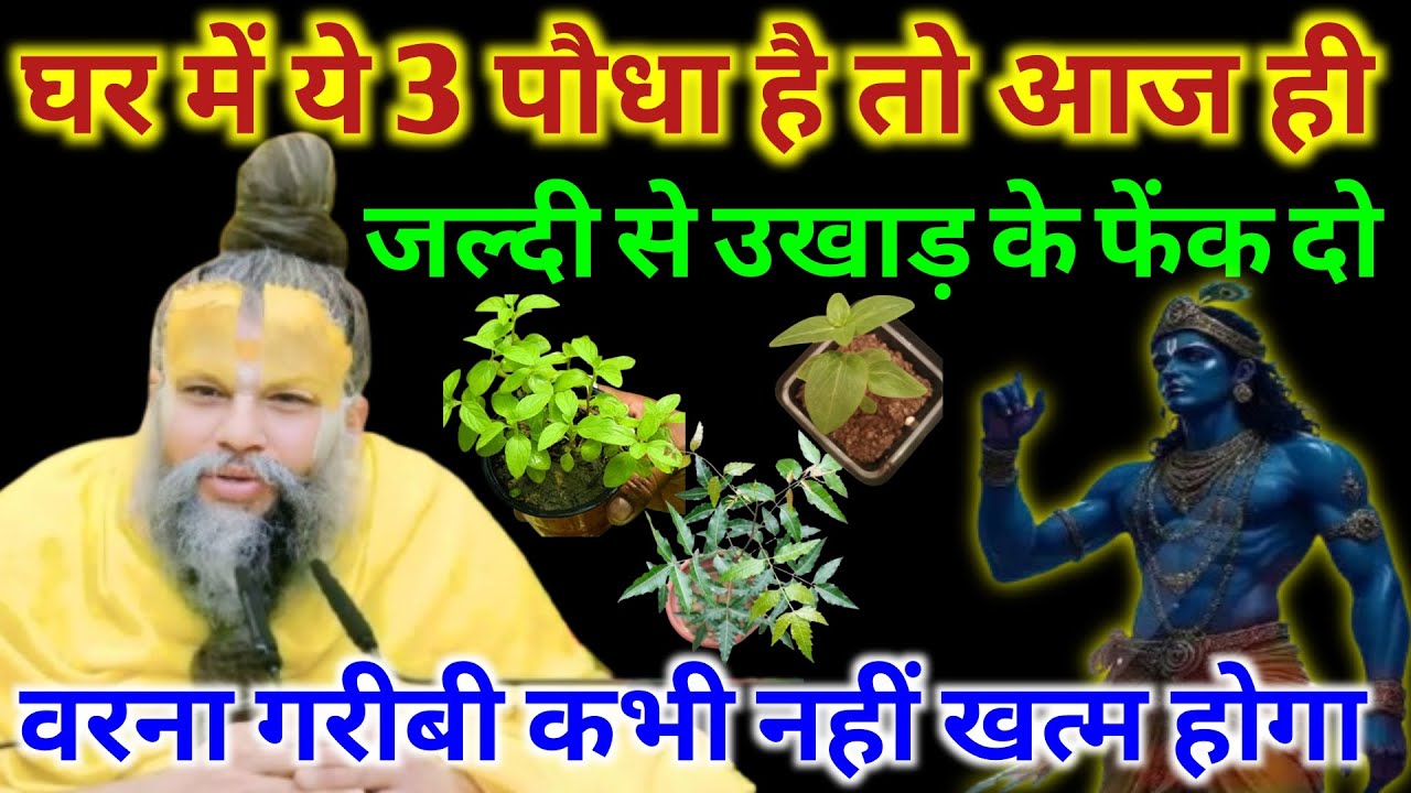 घर में ये 3 तीन पौधा है तो आज ही जल्दी से उखाड़ के फेंक दो | वरना गरीबी कभी नहीं खत्म होगा