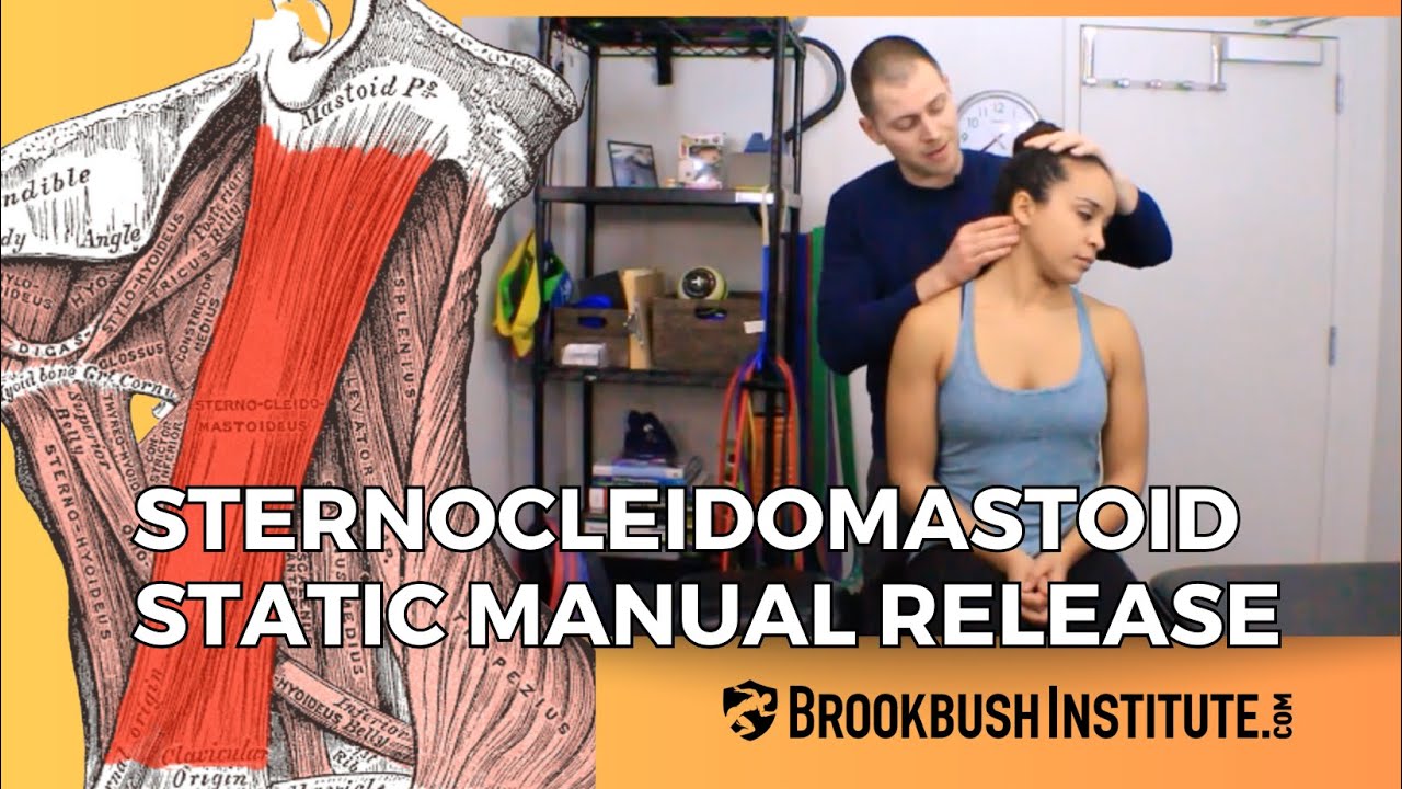 Sternocleidomastoid Manual Static Release Soft Tissue Mobilization