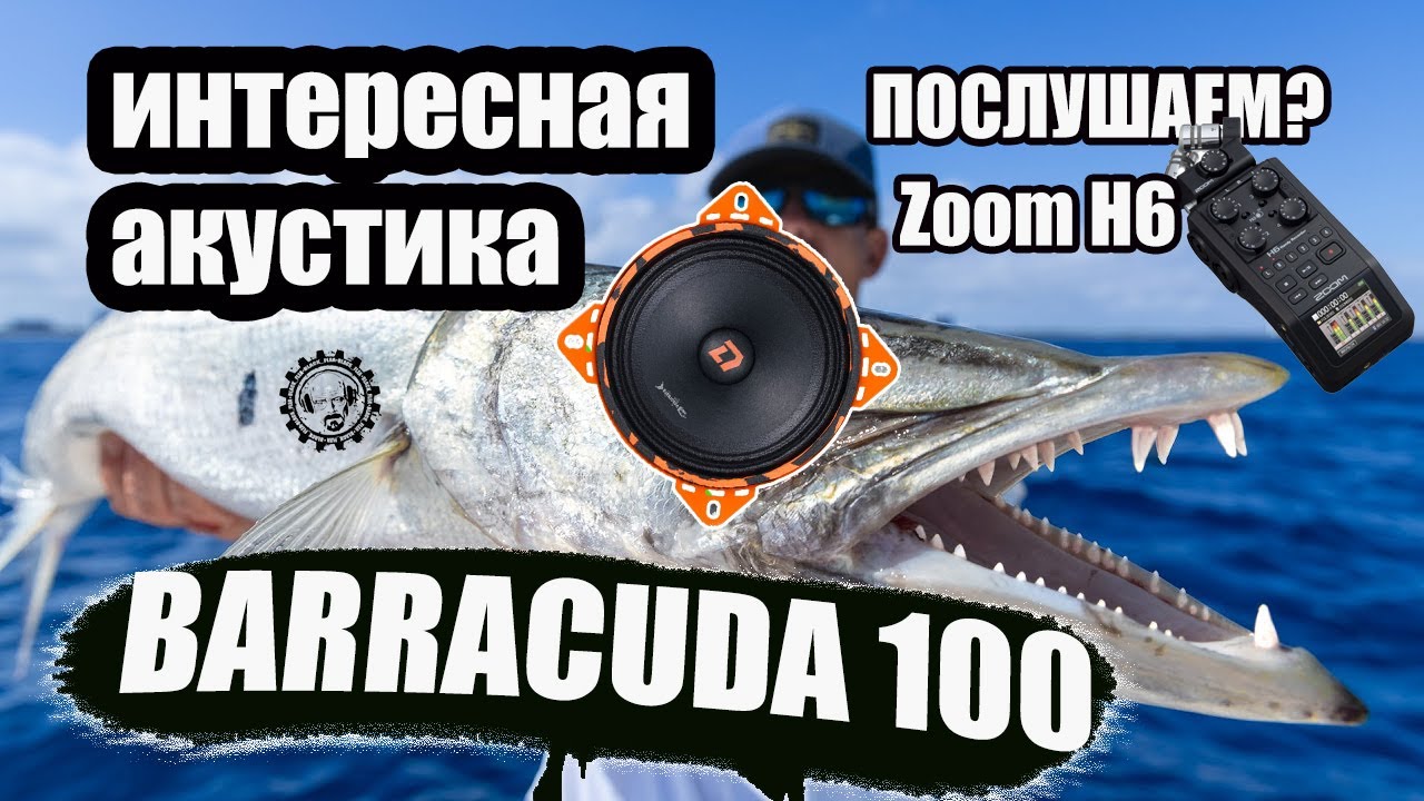 Barracuda 100! Новинка!  Ушатает твою Штатку))