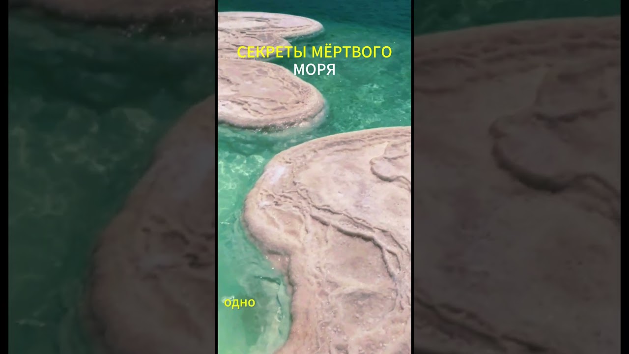 Секреты Мёртвого моря #fact #интересное #наука #топ