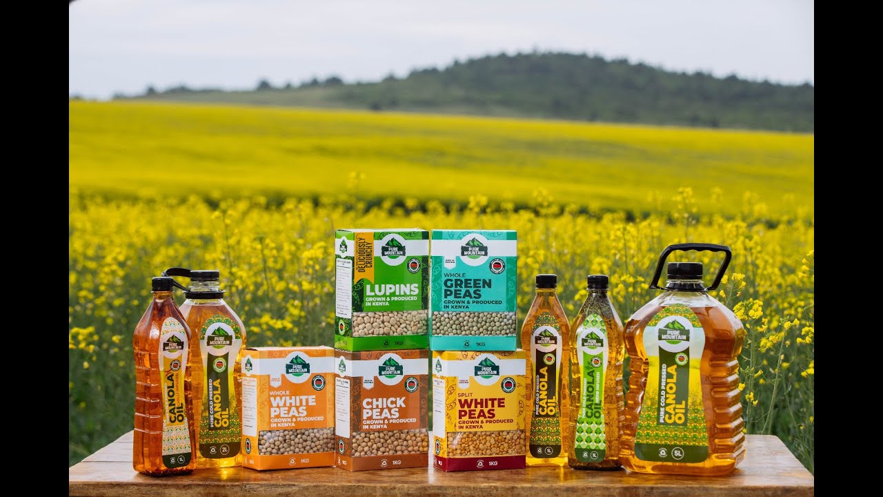 Canola farming pioneers drive sustainable farming