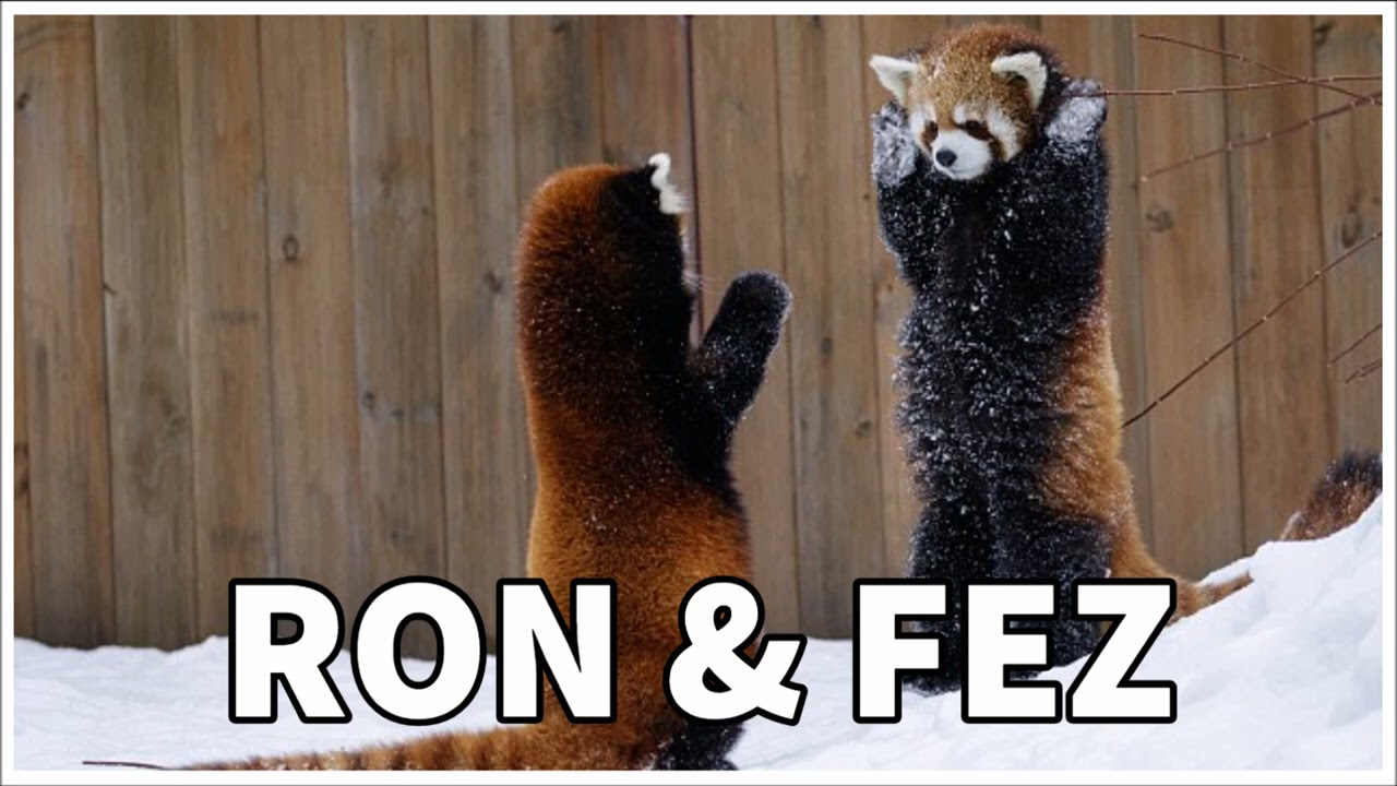Ron & Fez - Shelby vs. Level Headed Fez