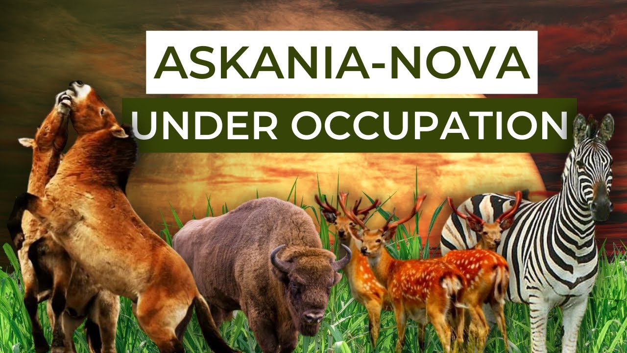 The biggest European steppe nature reserve seized by russian occupiers. Ukraine in Flames #429