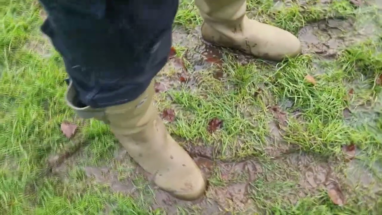 Chams in a wet field