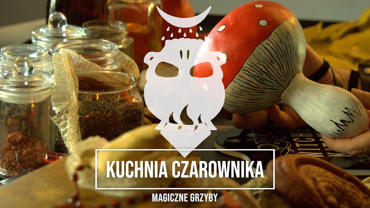 Magiczne Grzyby: Wprowadzenie
