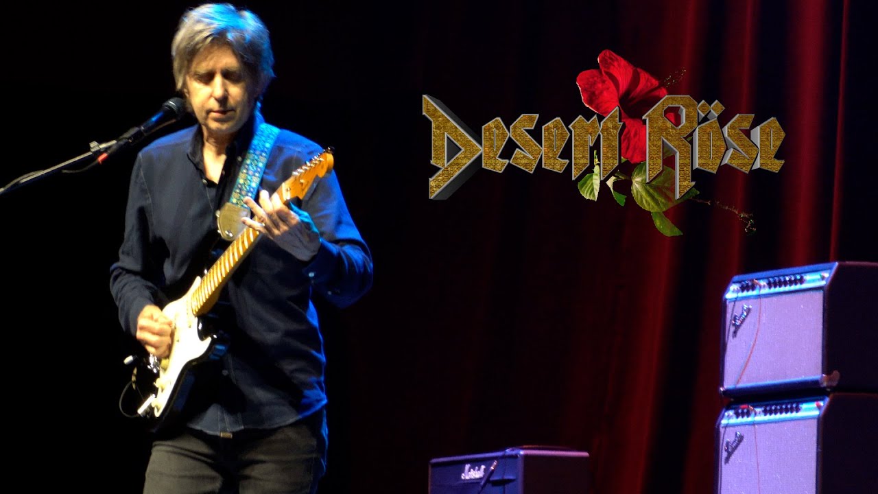 ERIC JOHNSON🎸