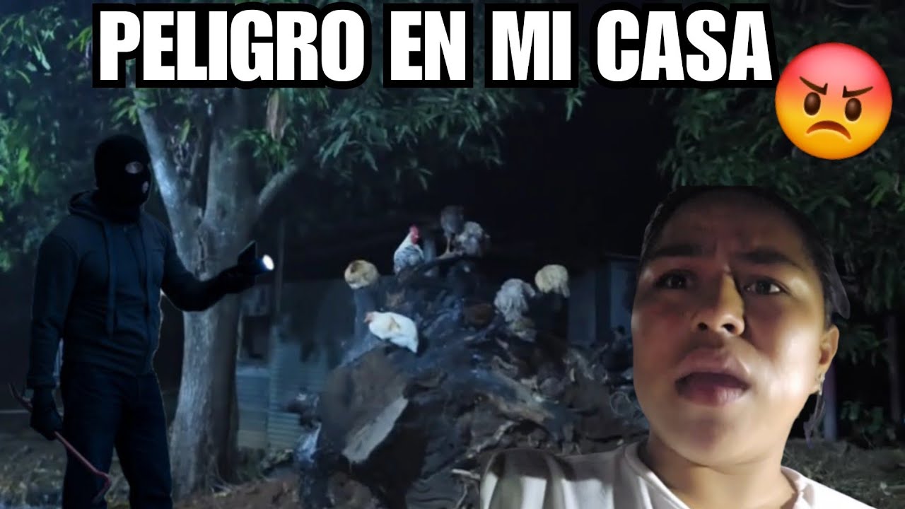 URGENTE LADRONES SIGUEN 😡 Y3GANDO ALA CASA DE LA OTY ÚLTIMAMENTE A ESTADO TRISTE 😥 