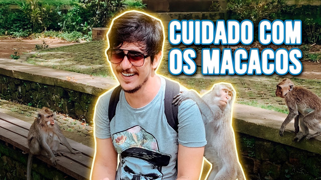 Vale a pena visitar a floresta sagrada dos macacos em Ubud? - Não é caro viajar em Bali