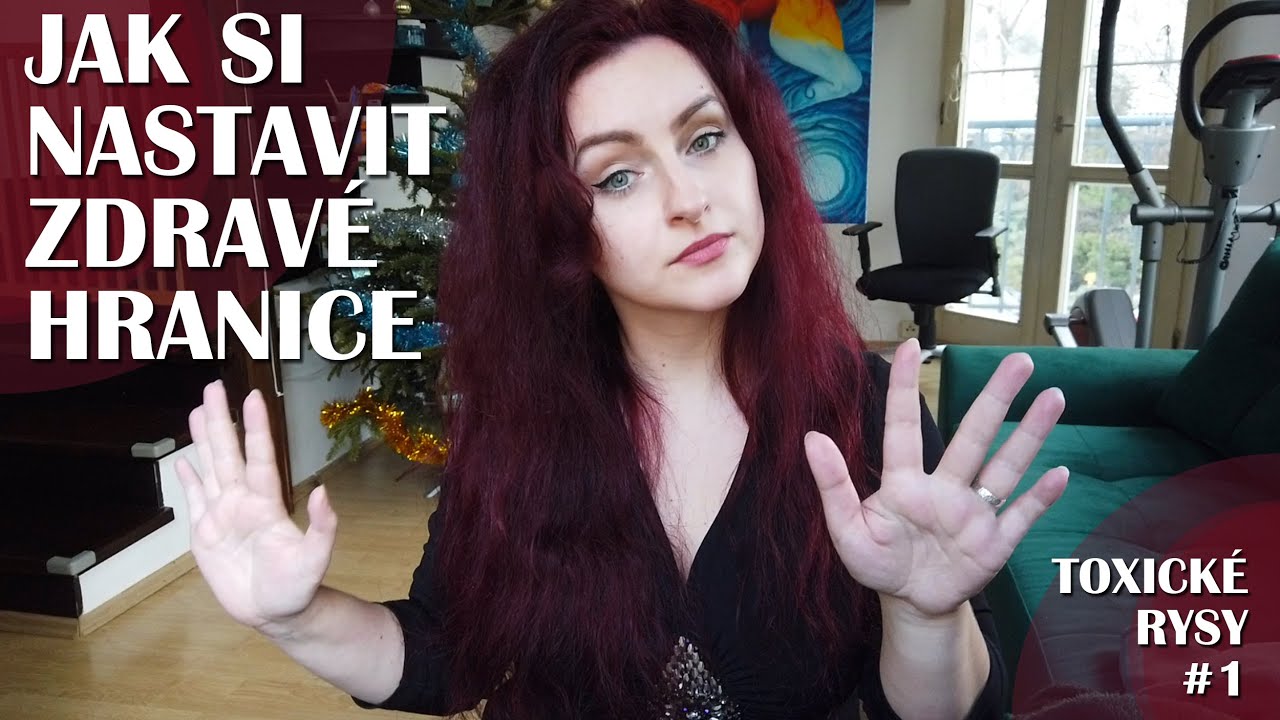 JAK SI NASTAVIT ZDRAVÉ HRANICE (Toxické rysy #1) #teryllart #zeživotabipolárky #zdravéhranice