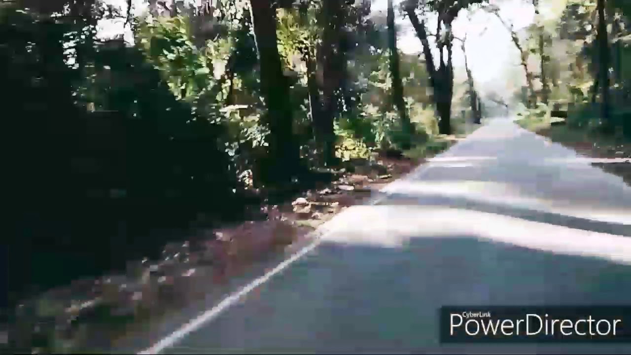 Jasmin sha video
