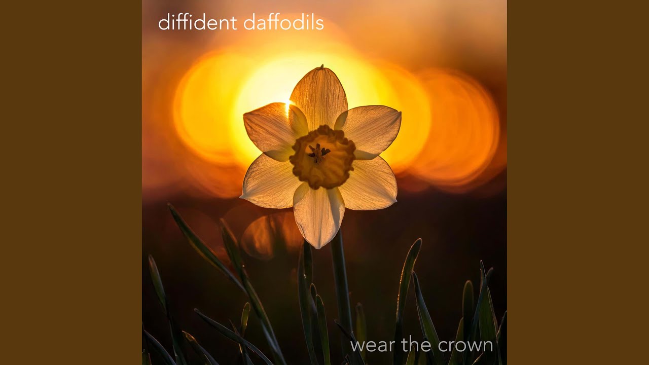 Wear The Crown