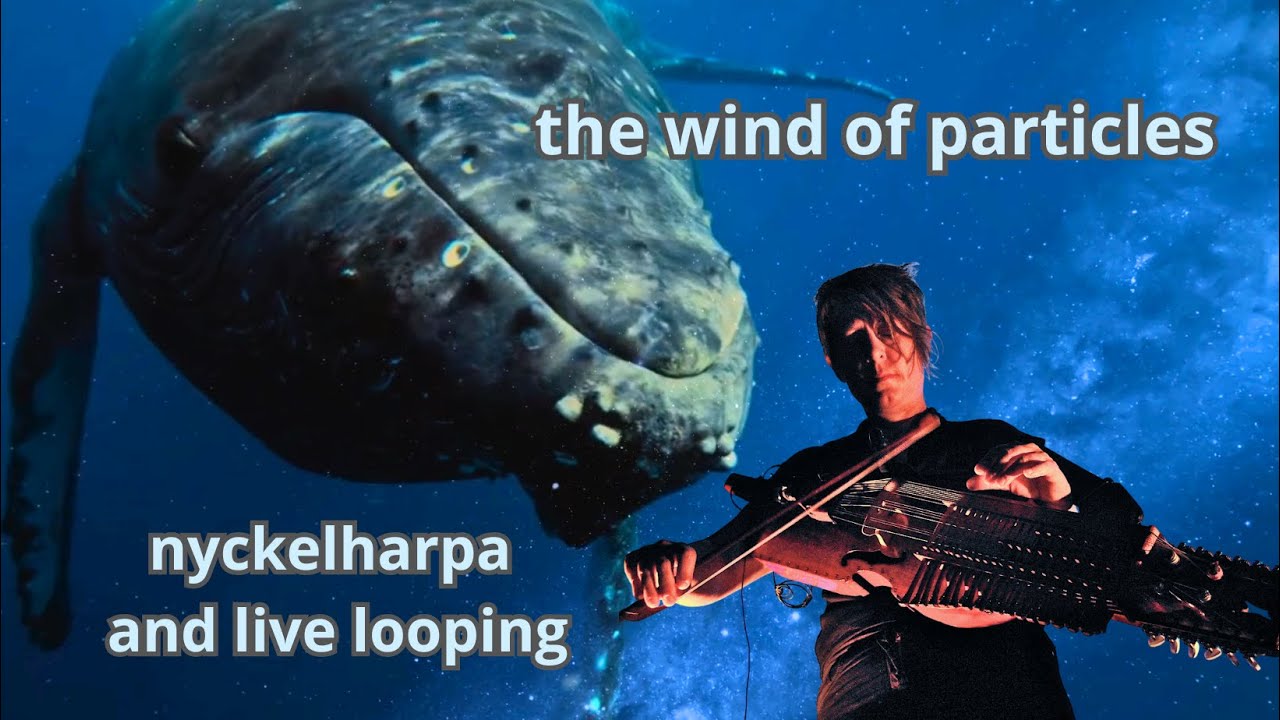 le chant des baleines stellaires (2/6) 🐳🐳🐳✨ : the wind of particles [CLIP] - Ingrid Obled