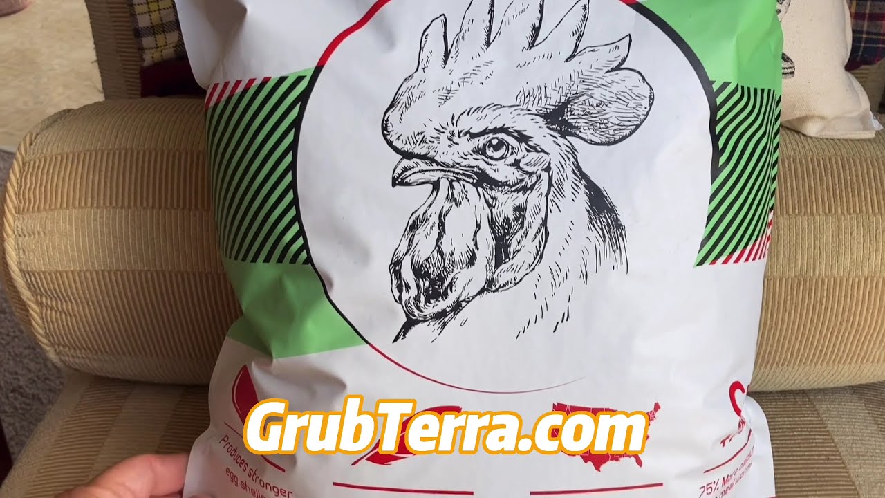 GrubTerra Review.../Black Soldier Fly Larvae/Welcome Back Charlie's Chicks/UPDATE.