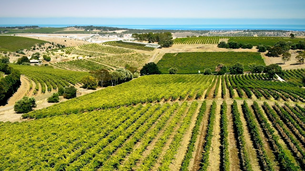 McLaren Vale Wine Region | Two Hands Wines