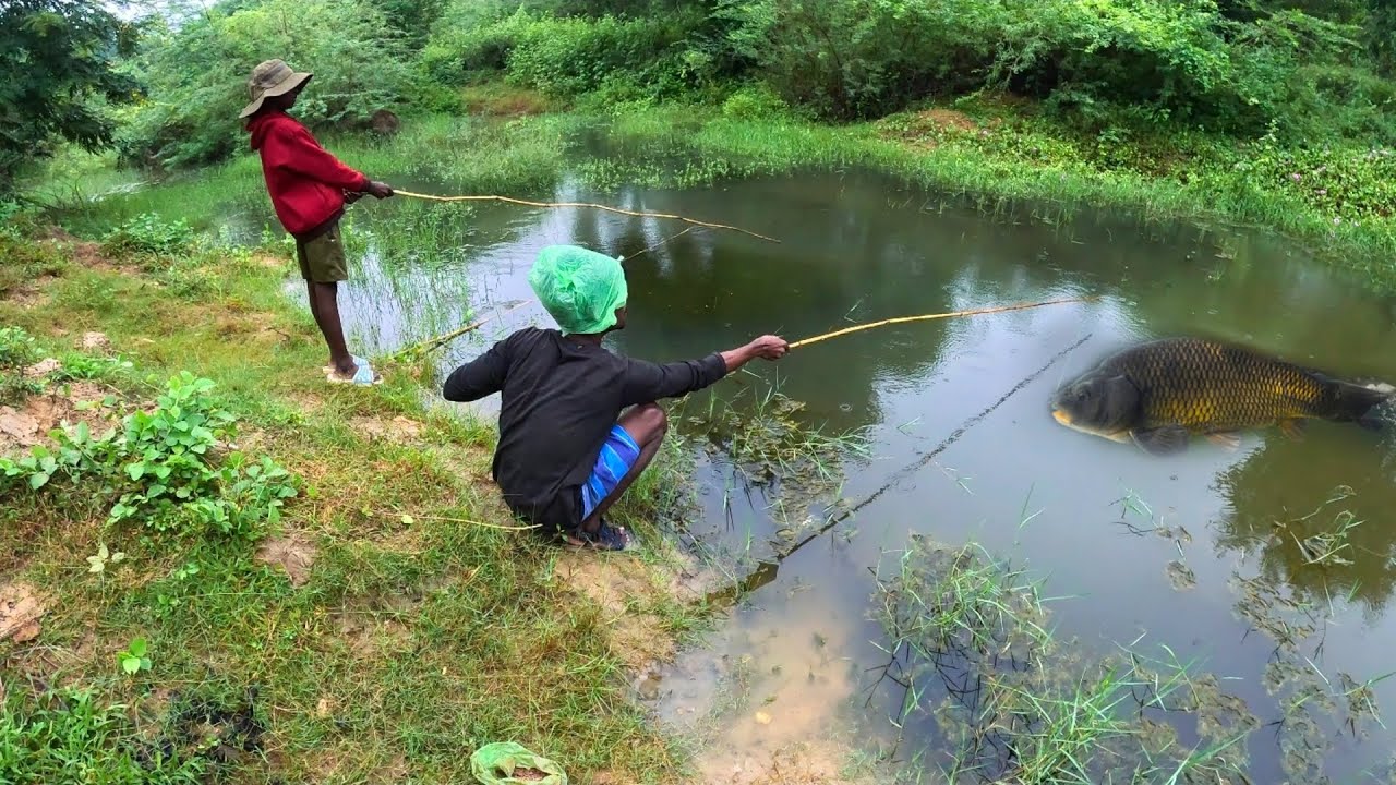 5 Rs Double hook fishing in rainy season 🐠 | அடைமழை நேரத்தில் மூங்கில் குச்சி தூண்டி போடப் போறோம்
