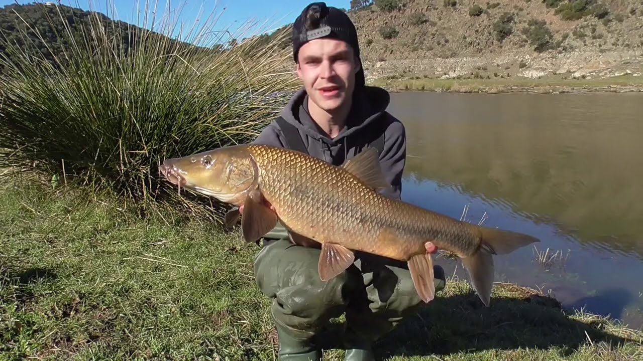 Orellana Carp Team - Carpfishing - Barbos en Invierno