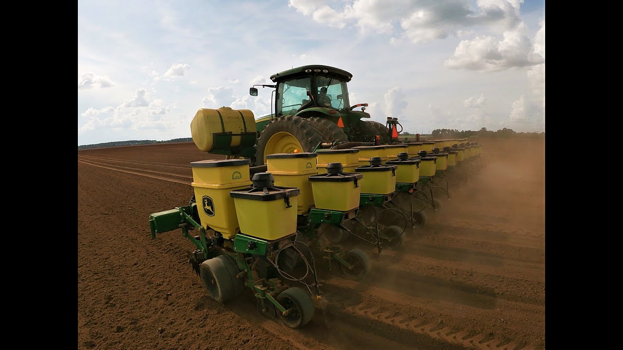 How we plant peanuts on the farm.
