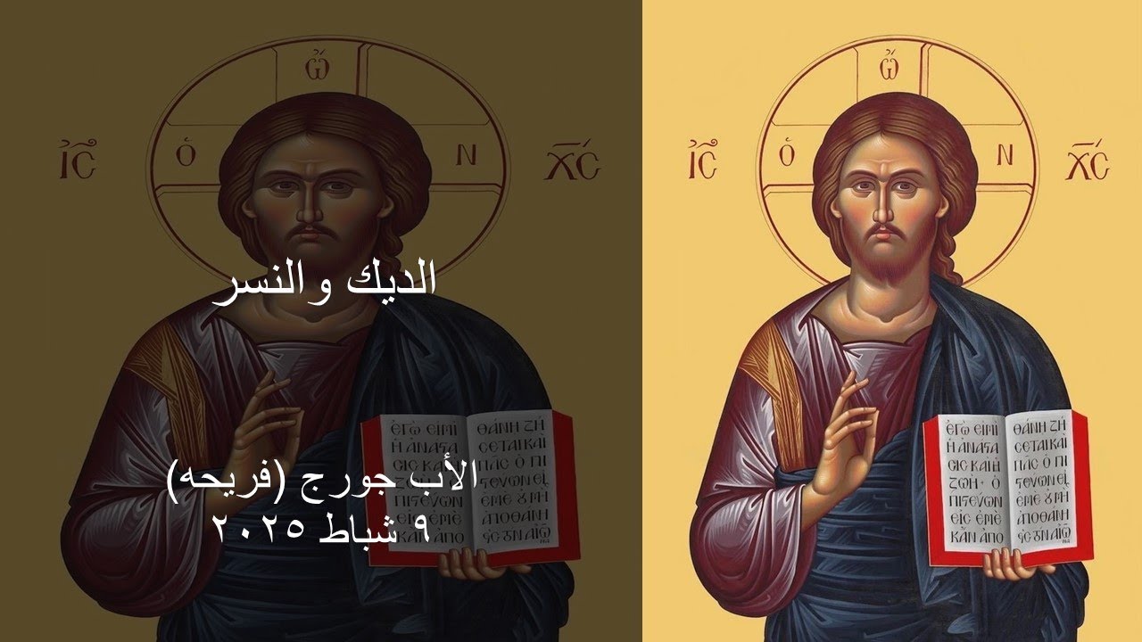 الديك والنسر
