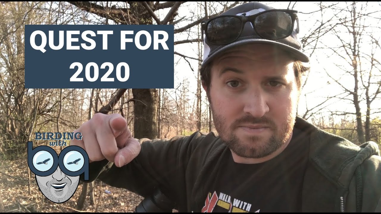Quest for 2020