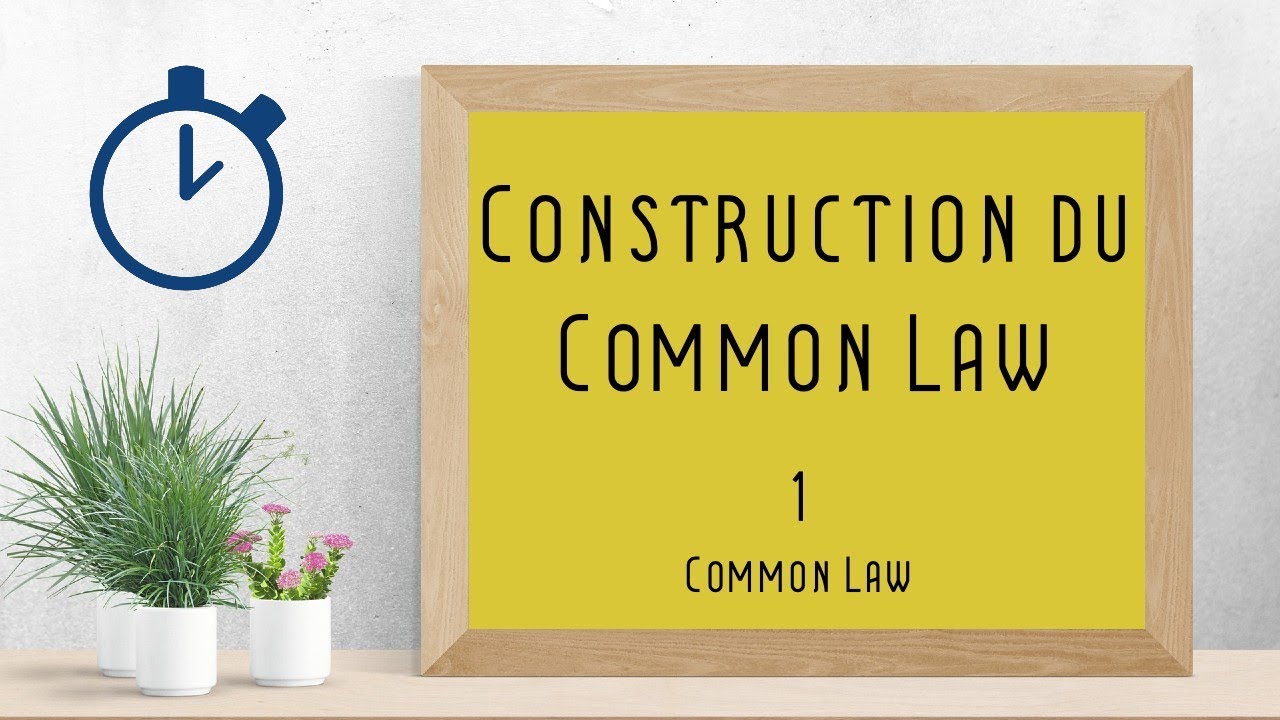 Construction du Common Law : [ Common Law 1/8 ]