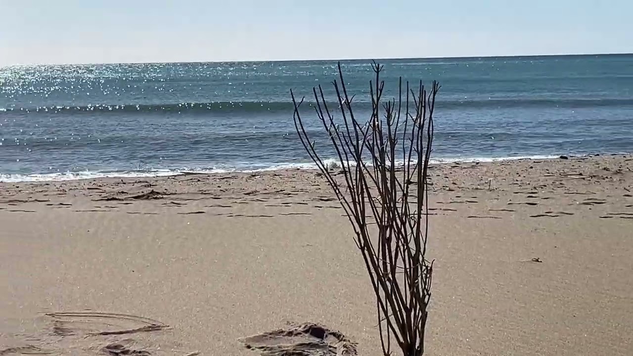 Walking the gangway by the Sea.. It goes on for miles / Calahonda Spain Sounds of wawes 