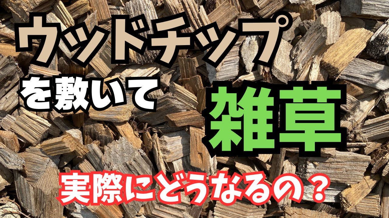 【真夏の雑草対策】ウッドチップを敷いて4年経ってみてのメリット・デメリット！！