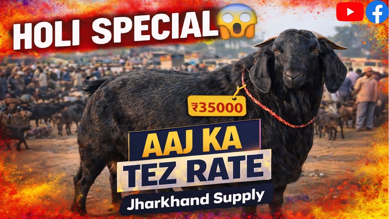 Holi Dhamaka 🐐 Bakra Mandi Full Tour | 2026 Ka Sabse Tez Bazaar!