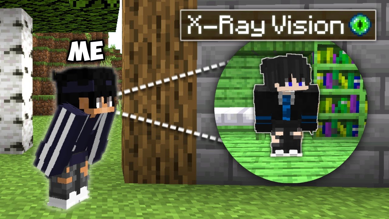 I Used X-RAY VISION to Cheat in HIDE And SEEK (Minecraft)